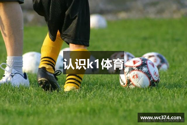 认识k1体育